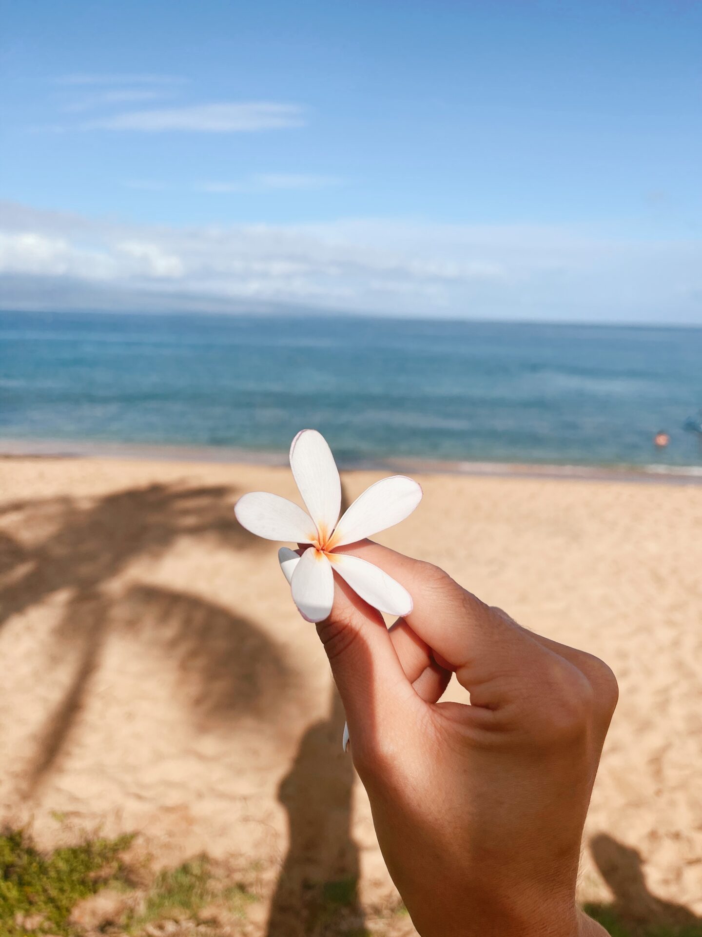 Airport beach best things to do in Lahaina maui Hawaii